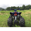 110cc спорта ATV с полной автоматической Gears для детей